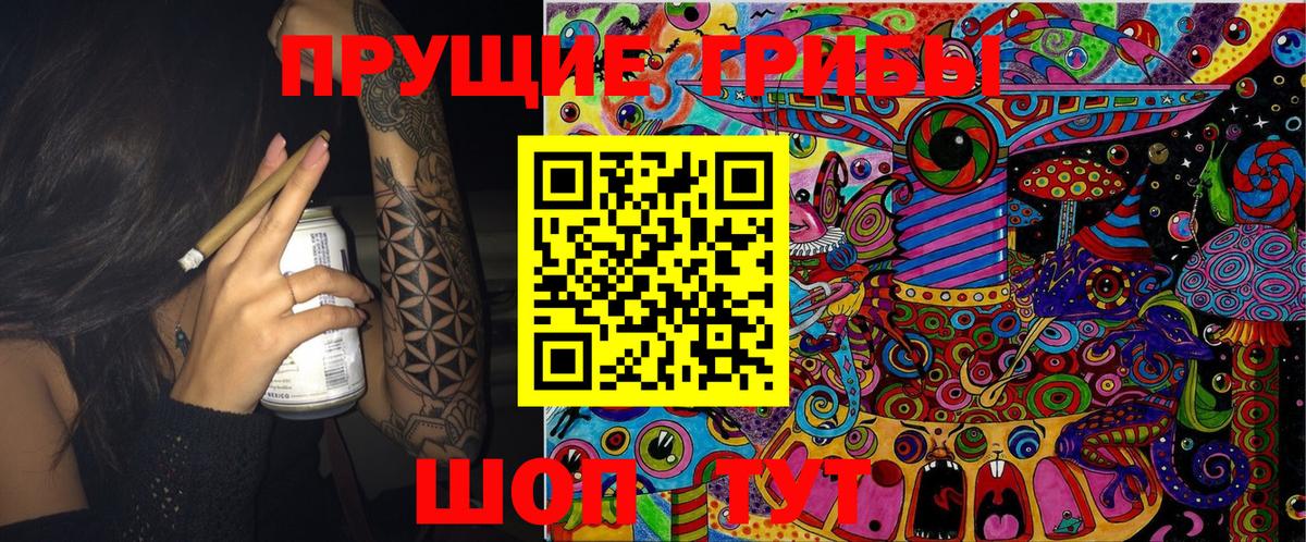 Галлюциногенные грибы Cubensis Сертолово